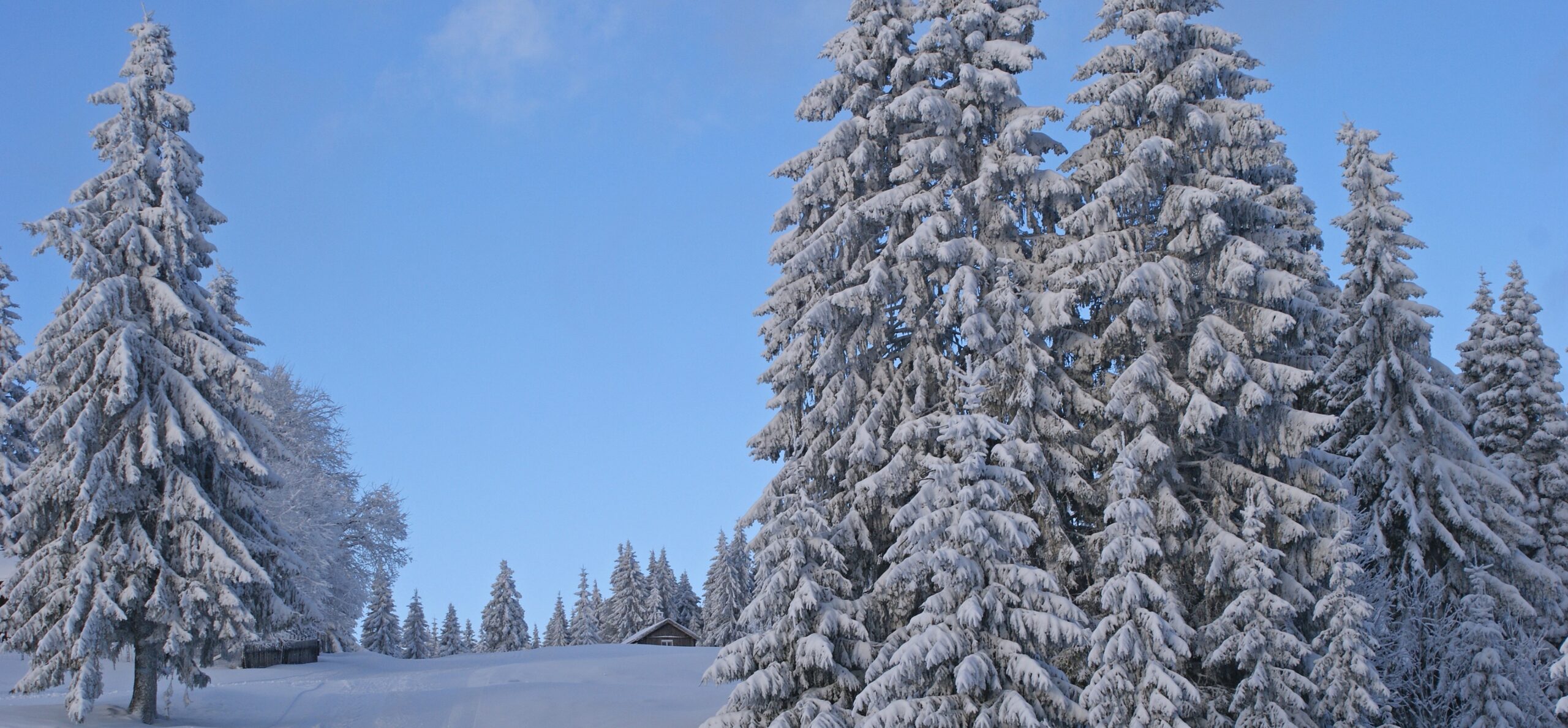 Happy Holidays from ESI!