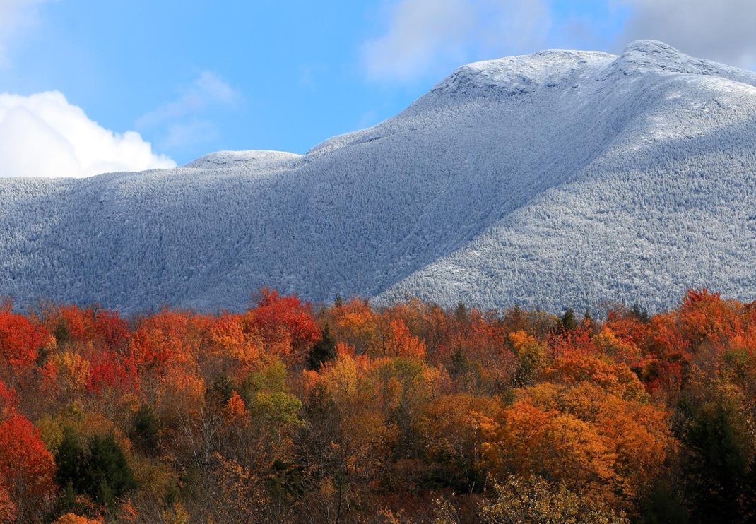 Seasonal Address Changes… and what the heck is Snowliage?